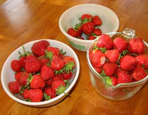Urban Homesteading – Summer Abundance Image